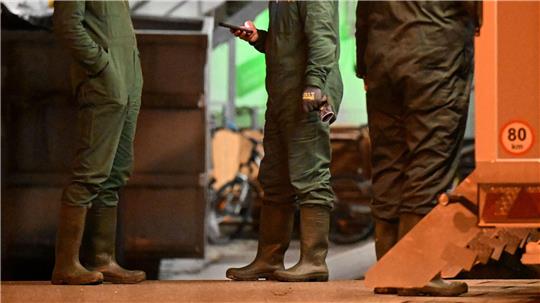 Nach dem Ausbruch der Vogelgrippe in Baden-Württemberg müssen in einem Geflügelbetrieb im Alb-Donau-Kreis südöstlich von Stuttgart rund 15.000 Tiere getötet werden.