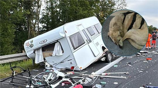 Das Foto zeigt das beschädigte Wohnmobild auf der Autobahn mit Trümmerteilen auf der Fahrbahn. Oben rechts ist ein Foto von Hund Benni nachträglich eingefügt worden.
