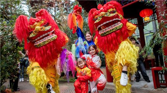 Nach dem chinesischen Kalender endete in dieser Woche das Jahr der Holzschlange und ging in das Jahr des Feuerpferdes über. 