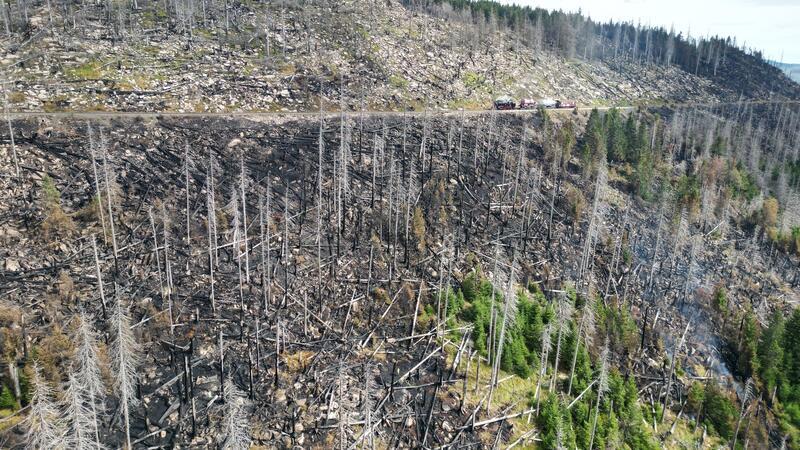 Brocken-Waldbrand offiziell gelöscht – Einsatzkräfte rücken ab Nach den Löscharbeiten wird der Schaden sichtbar.