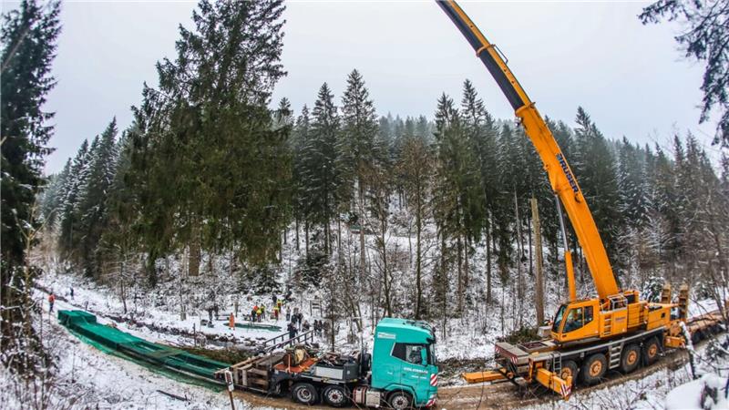 Weihnachtsbaum für den Bundestag kommt aus dem Harzer Wald Nach der Fällung schwebt der Baum, an dem Kran befestigt, über dem Lkw.