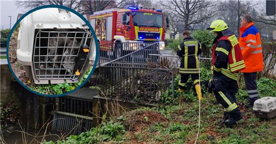 Nach der Rettung wurde der Waschbär an die Stadtjägerin übergeben. Fotos: Freiwillige Feuerwehr Seesen