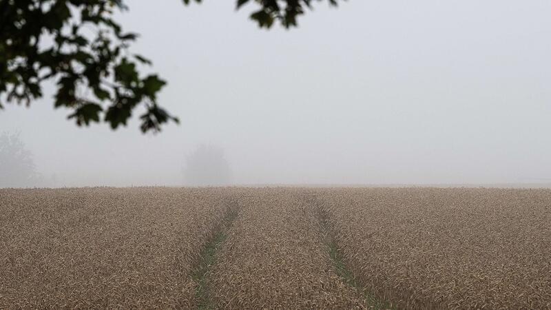 Nach der schwachen Ernte bleibt für viele Bauern die Frage, was finanziell am Ende übrig bleibt. (Archivfoto)