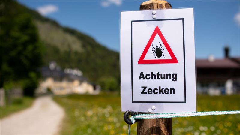 Nach einem Aufenthalt in der Natur sollte man sich unbedingt intensiv absuchen, denn diese stechen nicht sofort. Möglicherweise lässt sich so eine Infektion noch rechtzeitig verhindern. (Archivbild)