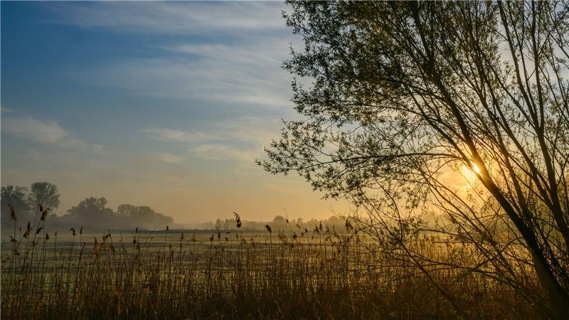 Nach einem sonnigen Start in den Ostersonntag droht es in Teilen Deutschlands, ungemütlich zu werden. 