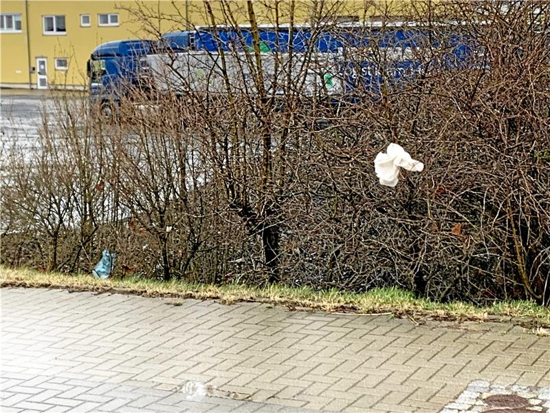 Nach Stürmen in Vienenburg: Müll verärgert Bürgerinitiative Nach mehreren Stürmen hängen Tüten und anderer Plastikmüll noch immer in den Sträuchern. Foto: Privat