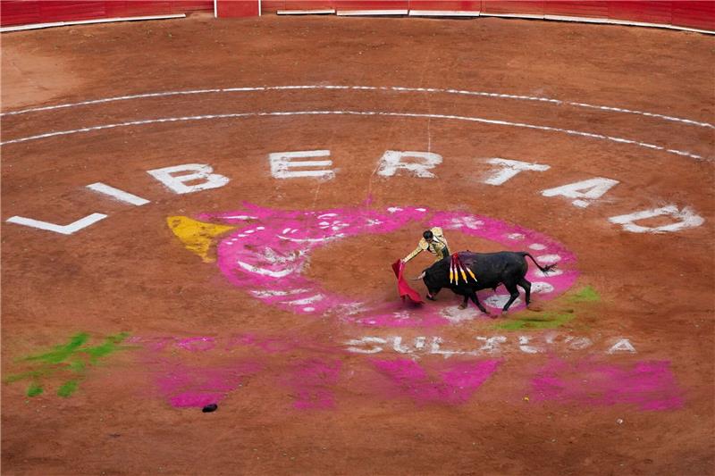 Stierkampf nach Verbot zurück in größter Arena der Welt Nach rund anderthalbjähriger Pause finden in der Plaza México in Mexiko-Stadt wieder Stierkämpfe statt.