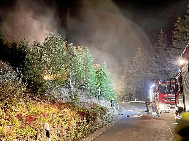 Nach rund drei Stunden beenden die Kräfte der Feuerwehren Braunlage, Hohegeiß und St. Andreasberg ihren Einsatz am Wurmberg. Ein junger und vor allem grüner Fichtenbestand samt jungen Birken ist zunichtegemacht. Foto: Feuerwehr