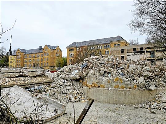 Nach zwei Fledermausfunden wurde der Abriss der Kaiserpfalzkaserne zeitweise unterbrochen. Foto: Sowa