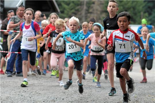 Nach zwei Jahren Pause kann auch der Nachwuchs wieder beim Wolfshäger Sommernachtslauf an den Start gehen. Anschließend geht es mit den beiden Hauptrennen weiter.  Foto: Gietemann