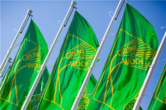 Nach zwei Jahren Zwangspause öffnet die Grüne Woche ab Freitag wieder für Besucher.