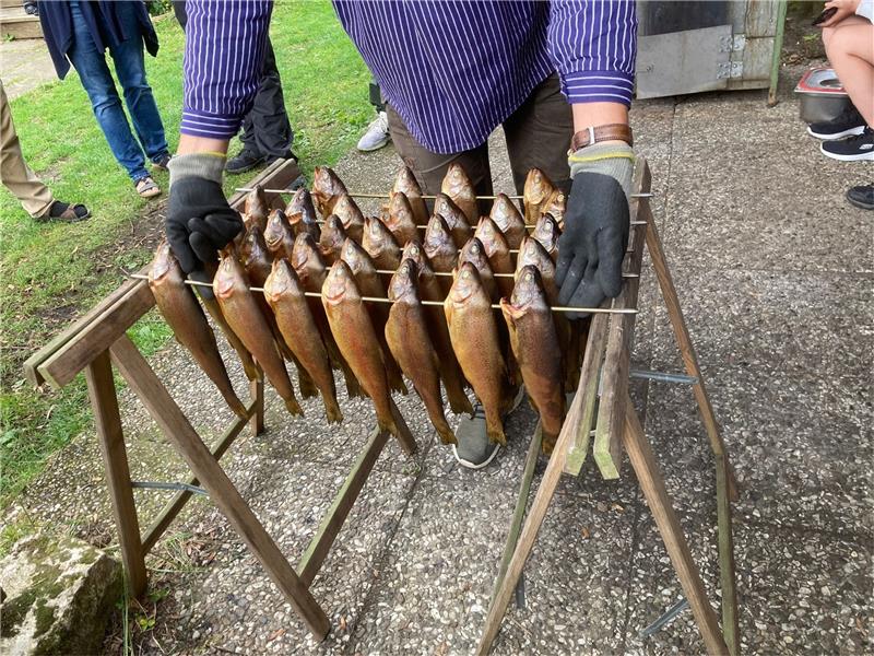 Kinder angeln in Buntenbock einen Hecht und zwei Barsche Nach zwölf Stunden Räucherofen bekommen die Forellen die typische braune Räucher-Farbe.