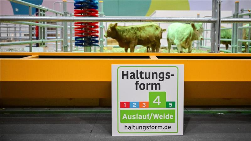 Nachhaltigere Tierhaltungsformen sind ebenfalls Thema auf der Grünen Woche. 