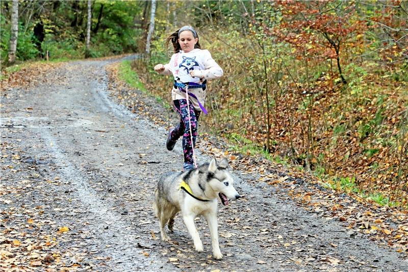 Nachwuchsrennen im doppelten Sinne: Am Samstag gehen wahrlich junge Gespanne an den Start. Foto: Neuendorf