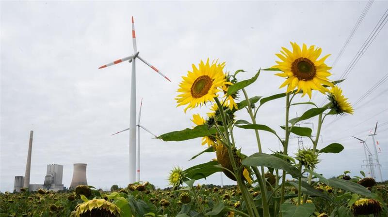 Geplantes Pommes-Werk - Verkehr soll gebremst werden Nahe dem Kohlekraftwerk Mehrum im Landkreis Peine soll eine Pommes-Fabrik entstehen. (Archivbild)