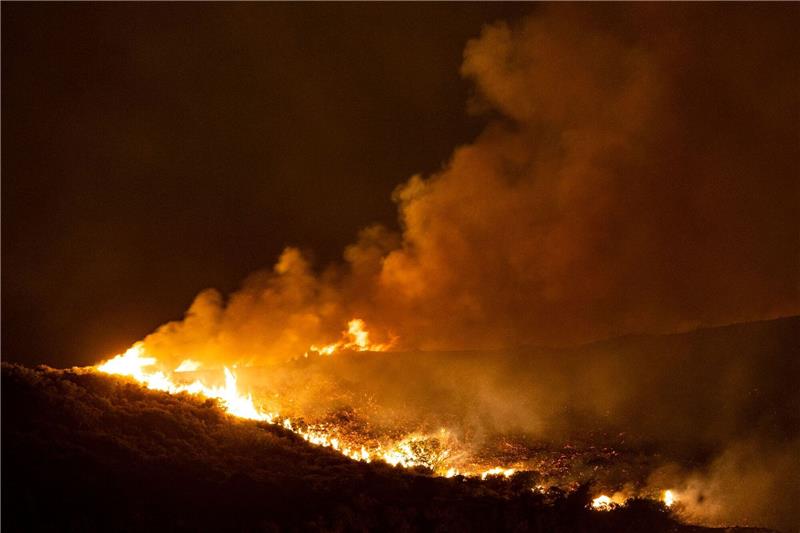 Brände auf Rhodos: Wind erschwert Löscharbeiten Nahe der Ortschaft Vati im Süden der Insel Rhodos steht ein Wald in Flammen.