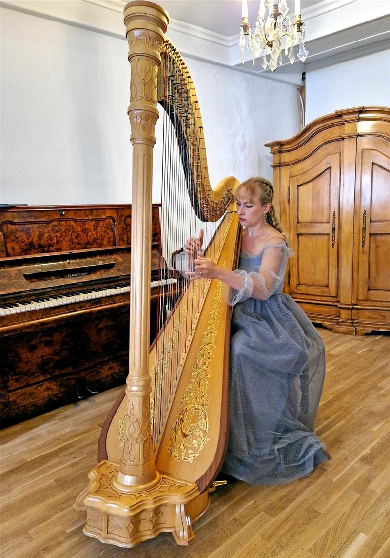 Natalia Girunyan-Saemann verzaubert die Besucher mit ihrer Harfe.