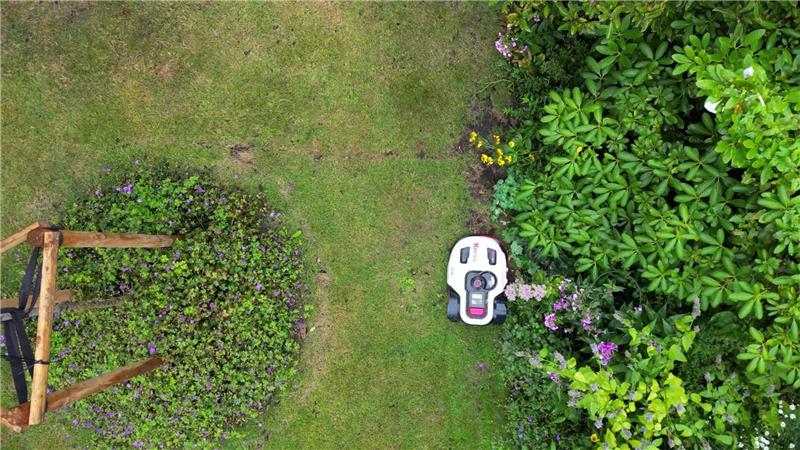 Mähroboter-Käufe um 45 Prozent gestiegen Naturschützer warnen davor, dass Mähroboter eine Gefahr sein können - vor allem für nachtaktive Tiere. (Symbolbild)