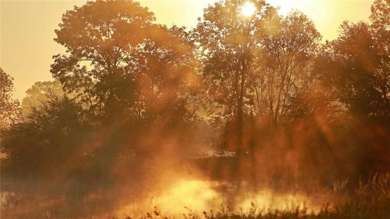 Der Herbstanfang bringt Deutschland unbeständigeres Wetter Nebel bildet sich im Licht der aufgehenden Sonne über den Veckenstedter Fischteichen im Nordharz.
