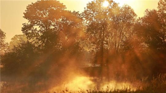 Nebel bildet sich im Licht der aufgehenden Sonne über den Veckenstedter Fischteichen im Nordharz.