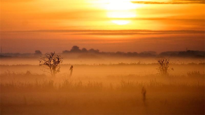 Neben Nebel und Regen gibt es diese Woche auch Sonnenschein. (Archivbild)