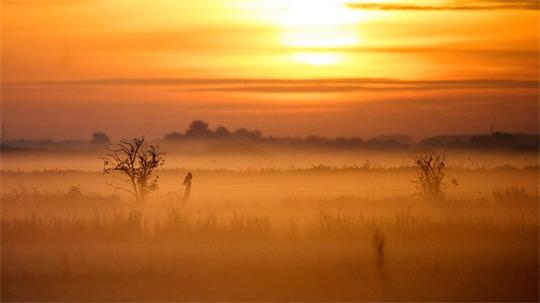 Neben Nebel und Regen gibt es diese Woche auch Sonnenschein. (Archivbild)