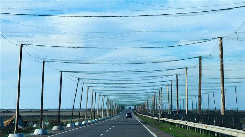 Netze über den Strtaßen bei Cherson sollen russische Drohnen abhalten. (Archivbild)