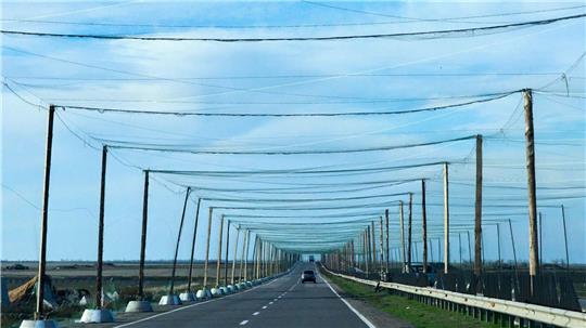 Netze über den Strtaßen bei Cherson sollen russische Drohnen abhalten. (Archivbild)