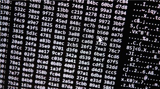 Neue Tools ermöglichten einen Schlag gegen ein Betrugs-Netzwerk im Darknet. (Symbolbild)
