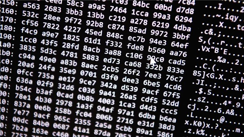 Neue Tools ermöglichten einen Schlag gegen ein Betrugs-Netzwerk im Darknet. (Symbolbild)