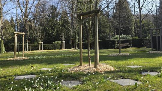 Neues Angebot: Auf dem Friedhof Hildesheimer Straße gibt es nun Partner-Urnengräber mit Röhrensystem. Die Grabstellen werden um Bäume herum platziert.