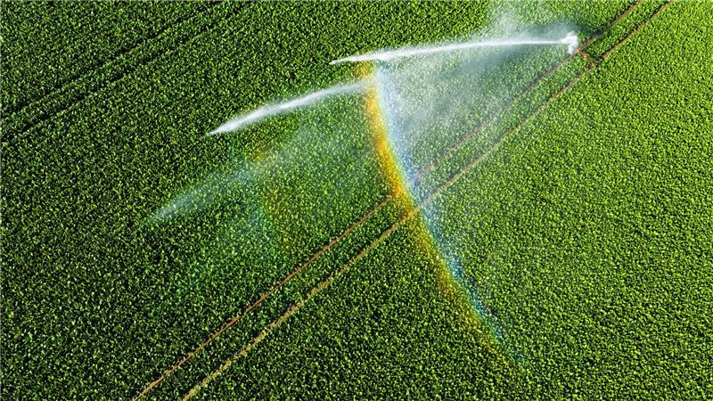 Nicht einmal fünf Prozent der landwirtschaftlichen Fläche kann bewässert werden. 