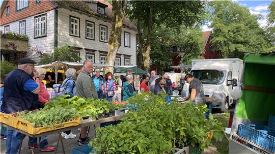 Nicht nur Grünes, sondern ein buntes Warensortiment querbeet bietet der Bergbauernmarkt in der Bornhardtstraße.