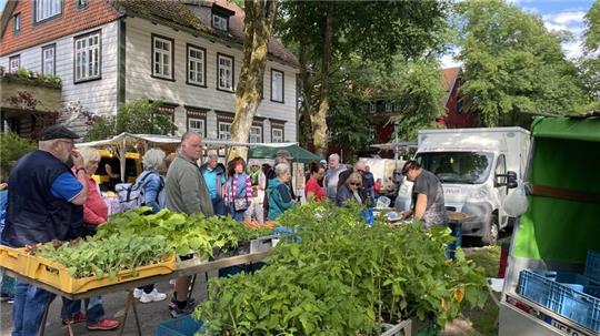 Nicht nur Grünes, sondern ein buntes Warensortiment querbeet bietet der Bergbauernmarkt in der Bornhardtstraße.