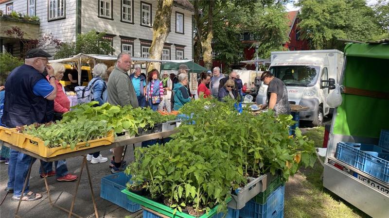 Nicht nur Grünes, sondern ein buntes Warensortiment querbeet bietet der Bergbauernmarkt.