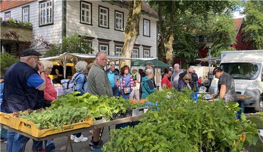 Nicht nur Grünes sondern ein buntes Warensortiment quer Beet bietet der Bergbauernmarkt in der Bornhardtstraße.