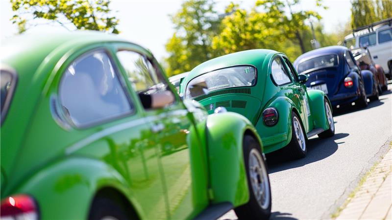 Nicht nur Käfer, auch viele andere Volkswagen-Klassiker werden gezeigt.