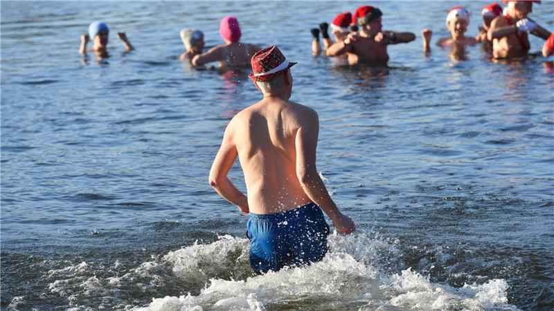 Nicht nur an Weihnachten und Neujahr baden die Berliner Seehunde bei eiskalten Temperaturen im Berliner Orankesee.