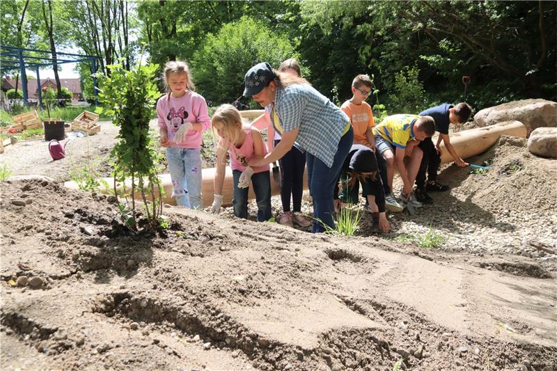 Nicola Schwebig-Bauerochse mit den Schülerinnen Diana (rechts), Sophie und Suri (verdeckt) haben Spaß bei der Bepflanzung des neuen Areals im Gowische Park. Im Hintergrund sind auch einige Jungs der Grundschule in Aktion. Foto: Neddermeier