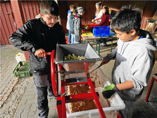 Nicolas (li.) betätigt die Obstmühle, und David fischt die entstandene Maische heraus, die in die Saftpresse kommt. Foto: Knoke
