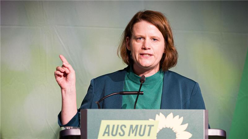 Niedersachsens Vize-Ministerpräsidentin Hamburg will Steuerflüchtlinge ins Visier nehmen.