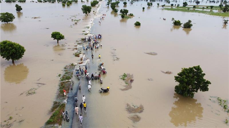 Immer mehr Tote nach Überschwemmungen in Afrika Nigeria kämpft mit den schlimmsten Überschwemmungen seit einem Jahrzehnt.