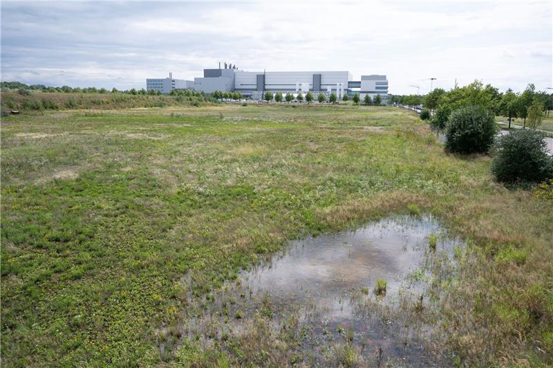 Noch eine Wiese im Dresdner Stadtteil Klotzsche, im Hintergrund ist die Halbleiterfabrik von Bosch zu sehen.