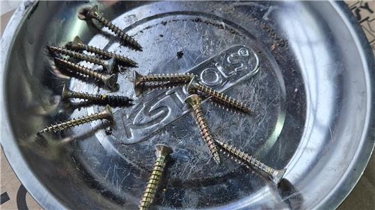 Mehrere Schrauben liegen in einer Metallschüssel.