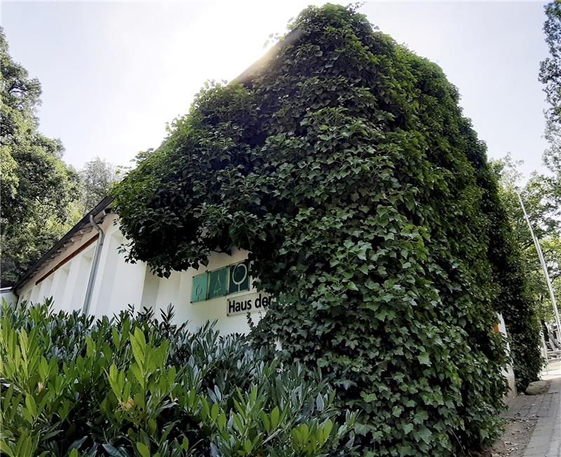 Eröffnung: Harzwaldhaus erwacht aus dem Dornröschenschlaf Noch in diesem Jahr soll das Harzwaldhaus seine Türen öffnen. Bis auf einige Nachbesserungen sind die Ausstellungs-Arbeiten laut Nationalpark Harz abgeschlossen. Foto: Potthast