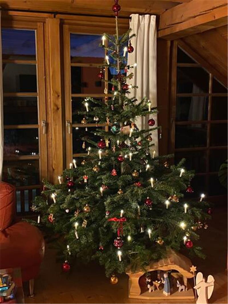 Kreiswirtschaftsbetriebe starten Sammlung von Weihnachtsbäumen Noch stehen in vielen Wohnzimmern die festlich geschmückten Weihnachtsbäume. Bald werden sie abgeschmückt und entsorgt.