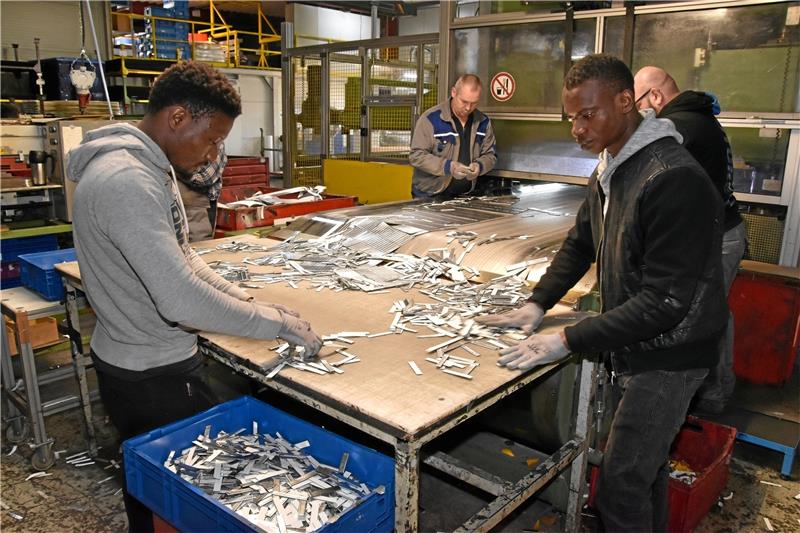 Normalerweise werden in den Hallen von Dr. Freist Automotive in der Baßgeige Dämmstoffe für die Autobranche hergestellt. Weil die Produktion ruht, hat das Unternehmen auf Schutzmasken-Herstellung umgestellt. Die vorgestanzten Platten mit den Nasenbügeln müssen am Ende per Hand auseinandersortiert werden. Wie der Schutz am Ende aussieht, demonstriert GZ-Mitarbeiterin Holly Hildebrand im Bild links und in einem Video auf unserer Homepage – samt Montage-Demonstration.  Fotos: Sowa