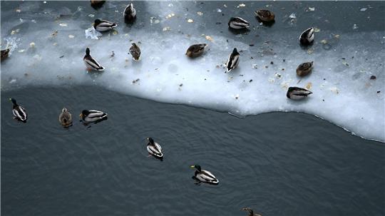 Nun steht vor allem dem Osten Deutschlands Glatteis-Gefahr bevor.