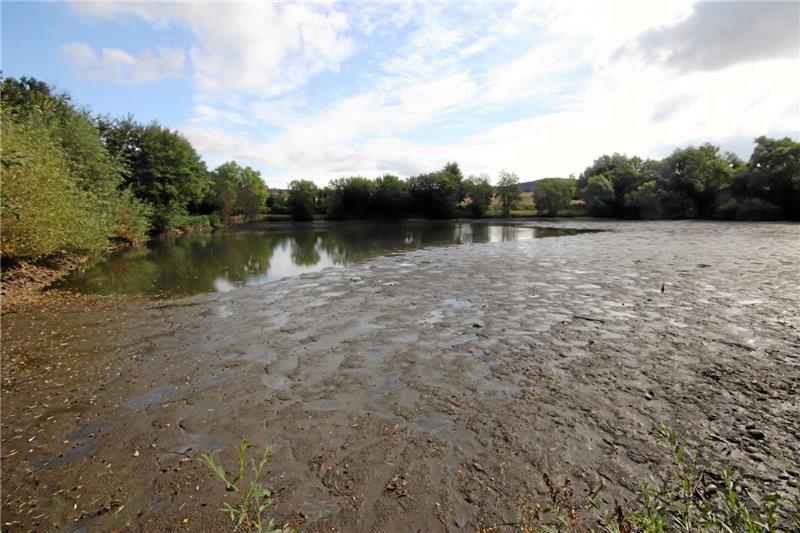 Nur noch an einer kleinen Stelle steht das Wasser im Weidenteich, als die Rettungsaktion am Samstagvormittag beginnt.