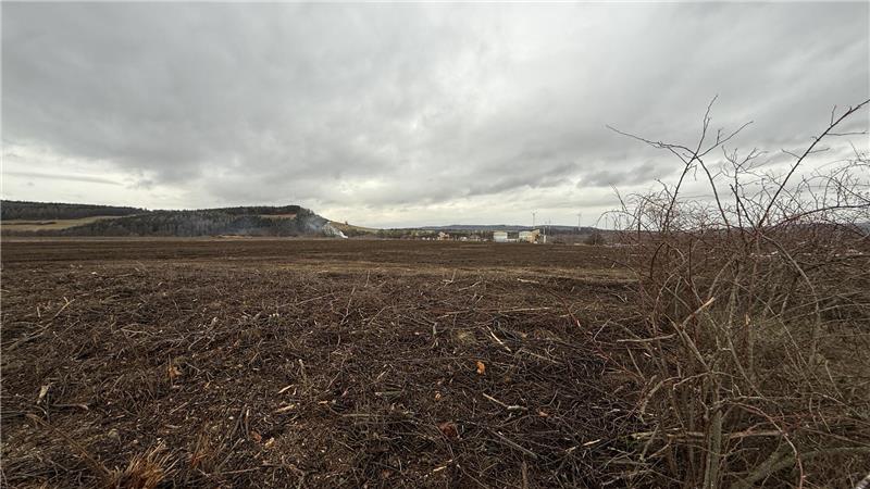 Nur noch eine Wüste: Acht Hektar Bewuchs sind radikal zerstört worden.
